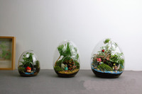 Terrarium en verre en forme d'œuf, planteur hydroponique pour plantes succulentes