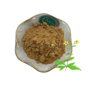 Натуральный бесплатный образец азиатского экстракта Беннета, экстракт 20:1 gium Japonicum - Product Image 2