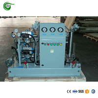 Compresseur à piston à hydrogène H2 sans huile de 5,5 kW, alimenté par moteur AC, capacité d'air fixe de 15 Nm3/h, à vendre