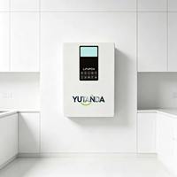 Baterai Lithium LiFePO4 5kW 51.2V 100Ah 10kWh yang Dipasang di Dinding dengan Komunikasi CAN IP65 Hybrid Grid BMS untuk Sistem Tenaga Surya