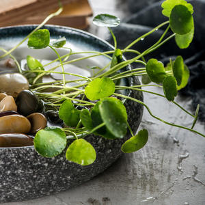 YouQiuHe Style japonais vaisselle <span class=keywords><strong>en</strong></span> céramique poterie grossière Art Sashimi assiette légumes salade bol fleur Vase plats assiettes - Product Image 3