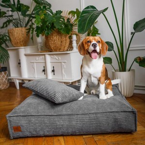 Cama para Perro de Pana, Ortopédica, Sofá para Mascotas, Espuma Viscoelástica, para Perros Grandes, Funda Lavable para Uso en Interiores - Product Image 2