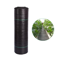 PP tissé membrane couverture de sol anti herbe contrôle des mauvaises herbes tissu bloqueur paillis film paysage tissu barrière tapis de mauvaises herbes