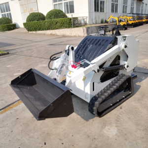 DPS-T460 miễn phí vận chuyển EPA Euro 5 Crawler Mini <span class=keywords><strong>Skid</strong></span> chỉ đạo 300kg theo dõi nhỏ <span class=keywords><strong>Skid</strong></span> chỉ đạo với file đính kèm <span class=keywords><strong>Skid</strong></span> chỉ đạo để bán - Product Image 4