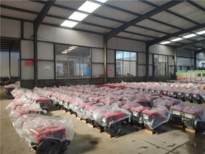 Zaino portatile diserbo mitragliatrice Marketing chiave cilindro componenti di alimentazione del nucleo pompa motore <span class=keywords><strong>per</strong></span> agricoltura giardino diserbo - Product Image 5