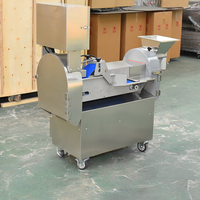 Coupe-légumes professionnel en acier inoxydable multifonctionnel à double tête pour julienne, dés et tranches, garantie nationale