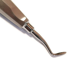 10ชิ้นสแตนเลสยกรากลิฟท์เครื่องมือทันตกรรมสกัดฟัน - Product Image 5