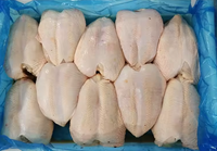 Chine Poitrine de poulet congelée désossée sans peau Poitrine de poulet congelée/usine de poitrine de poulet congelée de bonne qualité