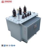 Transformateur de distribution triphasé immergé dans l'huile, bobinage en cuivre 33 kV, 50/60 Hz, certifié IEC, transformateur électrique