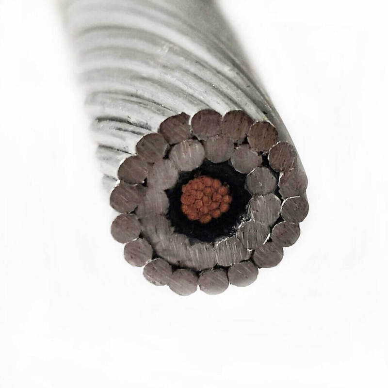 Professional Manufacture 450 750V Copper Conductor