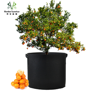 <span class=keywords><strong>Maceta</strong></span> <span class=keywords><strong>de</strong></span> vivero extra grande <span class=keywords><strong>de</strong></span> 20-45 galones para cultivo <span class=keywords><strong>de</strong></span> frutas y verduras, bolsa <span class=keywords><strong>de</strong></span> tela no tejida, Material <span class=keywords><strong>de</strong></span> fibra vegetal para jardinería <span class=keywords><strong>de</strong></span> flores - Product Image 4