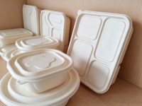 Conteneur alimentaire multi-types en fibres biodégradables avec couvercle, boîte à emporter jetable anti-fuite, vente en gros