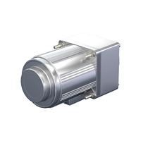 Moteur à induction monophasé AC 60W 220V 28 tr/min 18,3 Nm avec réducteur à vitesse variable pour la manutention des matériaux