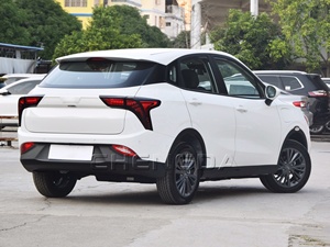 Hozon Neta V Lite Versión Chao, Auto Eléctrico con 301 km de Autonomía - Product Image 3