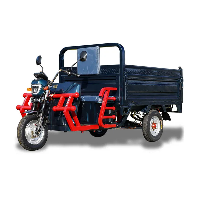 Tricicli da carico motorizzati elettrici prezzo all'ingrosso 3 ruote motore Brushless 60V moto elettrica 1000w tipo aperto trike