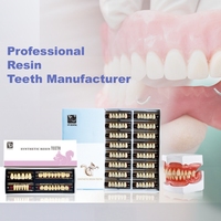 Prothèse dentaire manuelle en résine acrylique artificielle, dents antérieures et postérieures, incisives, molaires