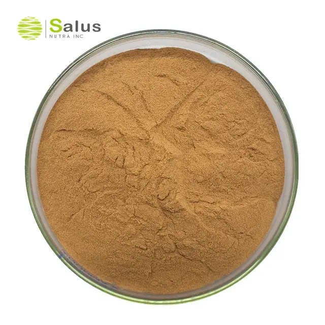 Hot Sale 5:1 10:1 Cactus Extract