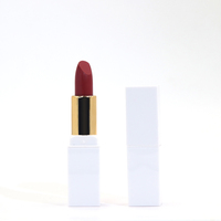 Rouge à lèvres rouge à lèvres marque privée beauté brillant à lèvres étanche faites votre propre marque mat nude rouge à lèvres maquillage rouge à lèvres