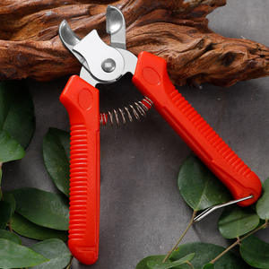 Set <span class=keywords><strong>di</strong></span> Forbici da <span class=keywords><strong>Potatura</strong></span> Industriali in Acciaio Inox a Forma <span class=keywords><strong>di</strong></span> Nido per Raccolta <span class=keywords><strong>di</strong></span> Frutta in Frutteti, Mele e Arance - Product Image 1