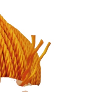 Durable <b>Floating</b> Polysteel Twisted PP Nylon Plastic Packing Ropes for <b>Fishing</b> Agriculture Use High Strength - Product Image 3