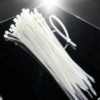 Attaches-câbles autobloquantes en nylon PA 66 blanc, résistantes aux chocs, durables, 200 mm * 5 mm, 8 pouces, applicables pour le regroupement de fils, tuyaux et outils