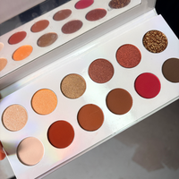 Palette de fards à paupières DIY mats et scintillants, tons bruns froids et nudes chauds, véganes, haute pigmentation, maquillage pour les yeux, marque privée, fard à paupières naturel