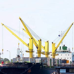 رافعة هيدروليكية بحرية معتمدة من BV وCCS، حل مخصص لرافعة السطح - Product Image 2