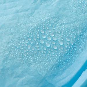 Meilleur vendeur 2024 achats en ligne produits pour animaux de compagnie marque privée tapis de dressage de chien pour chiens chiot tapis de dressage de pipi - Product Image 5