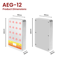 Appareil de luminothérapie LED portable en alliage d'aluminium, lumière rouge et proche infrarouge, 16 LED, 5W, batterie 4000mAh pour la gestion ciblée de la douleur et des plaies