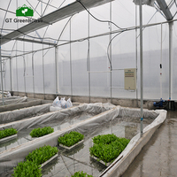 Serre agricole/commerciale de bonne qualité et facile à installer