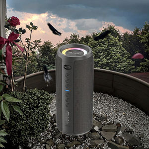 Haut-parleur portable d'extérieur sans fil BT5.3 RGB LED 30W étanche IPX6 avec batterie 3000mAh et micro intégré pour fêtes, PC, cadeaux, personnes âgées - Product Image 3