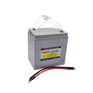 Kundenspezifische lithiumbatterie mit kapazität 12 V 75 ah/80 ah/90 ah/100 ah lifepo4 batterie für golfwagen/e-scooter
