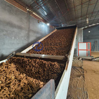 Plant- en groentegootbanddroogmachine Kurkuma droog- en maalpoeder productielijn Kurkuma droogmachine