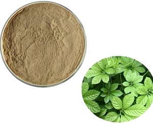 Бесплатный образец экстракта Jiaogulan 20:1 Gynostemma Pentaphyllum, 98% порошок - Product Image 1