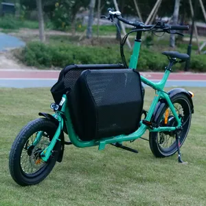 New Electric Cargo Bikes 2 Wheels Electric Cargo Ebike E-cargo Family E Bicycle 350w For Sale