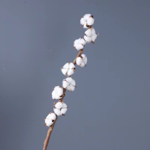 Branches naturelles de <span class=keywords><strong>coton</strong></span> <span class=keywords><strong>séchées</strong></span> fait à la main, vente en gros, 100g, pour décoration de maison, <span class=keywords><strong>bouquet</strong></span> de <span class=keywords><strong>fleurs</strong></span> <span class=keywords><strong>séchées</strong></span>, vente en gros - Product Image 6