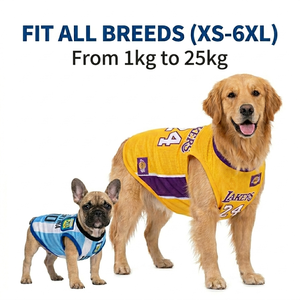 Camiseta de fútbol transpirable de malla para perros, disfraz de primavera/verano, suéter para perros, venta al por mayor - Product Image 4