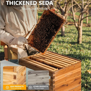 Chất Lượng Cao Cấp Mới Thân Thiện Với Môi Gỗ <span class=keywords><strong>Bee</strong></span> Hive Khung Với Sáp Tráng Nền Tảng Cho Tốt Hơn Tổ Ong Xây Dựng Sản Xuất - Product Image 2