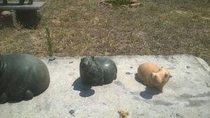 Venta al por mayor de tallados en madera africanos de la marca Chisel, estilo Art Deco y Pop Art, hechos a mano en Zimbabue, estatuas artesanales de madera natural para exportación. - Product Image 2