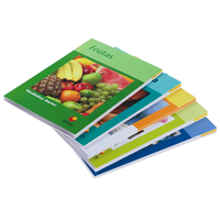 Brochures Personnalisées Impression Recto-Verso Couleur Complète Conception Flyers Pliants en Papier Imprimés