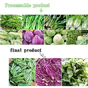 Línea de producción automática de lavado de verduras y frutas, línea de procesamiento de verduras para ensaladas, verduras de hoja verde y raíz - Product Image 3