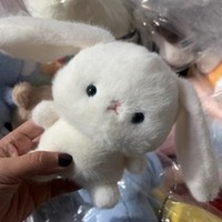 Peluches personnalisées Kawaii très populaires : jouets en peluche Capybara, Lapin, Ours, Éléphant pour enfants