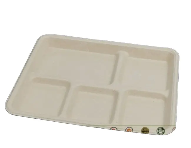 Compostable 5 Compartment Rectangular Dine in tray School Lunch Trays Eco-Friendly Buffet disposable Bagasse Paper Plates