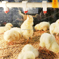YTU Bebederos automáticos de niple para pollos de engorde y codornices, para granjas avícolas