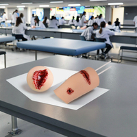 Kit de Modelo Anatómico de Silicona para Educación Médica, Entrenador de Tareas de Control y Detención de Hemorragias para Entrenamiento de Enfermeras en Hospitales