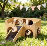 Maison en bois multifonctionnelle pour cochon d'Inde, mobilier pour animaux de compagnie, hamac, cachette, jouet anti-ennui, détachable