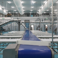 Équipement d'abattage de chèvres intégré à haute efficacité, machine complète d'abattage d'agneaux pour ligne de traitement d'abattoir