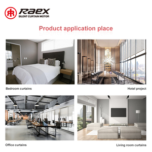 Động cơ mù tự động-động cơ thông minh <span class=keywords><strong>400</strong></span> Series <span class=keywords><strong>Raex</strong></span> bảng 100-240V DC Con lăn mù động cơ hình ống cho con lăn điện - Product Image 6