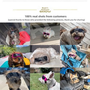 Nouvelles lunettes de soleil et lunettes de protection anti-UV <span class=keywords><strong>pour</strong></span> chiens et chats avec verres en PC et monture en silicone <span class=keywords><strong>pour</strong></span> toutes les saisons - Product Image 3