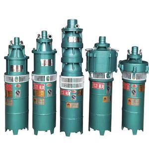 미니 QS 수중 펌프 (시리즈): 가정 및 소규모 상업용 고압, 고유량 - Product Image 3